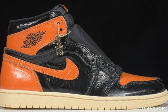  Backboard 1 555088-028 3.0 555088-028  High Shattered Jordan Retro 0207